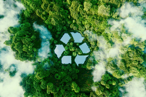 COMPROMETIDOS CON EL MEDIO AMBIENTE