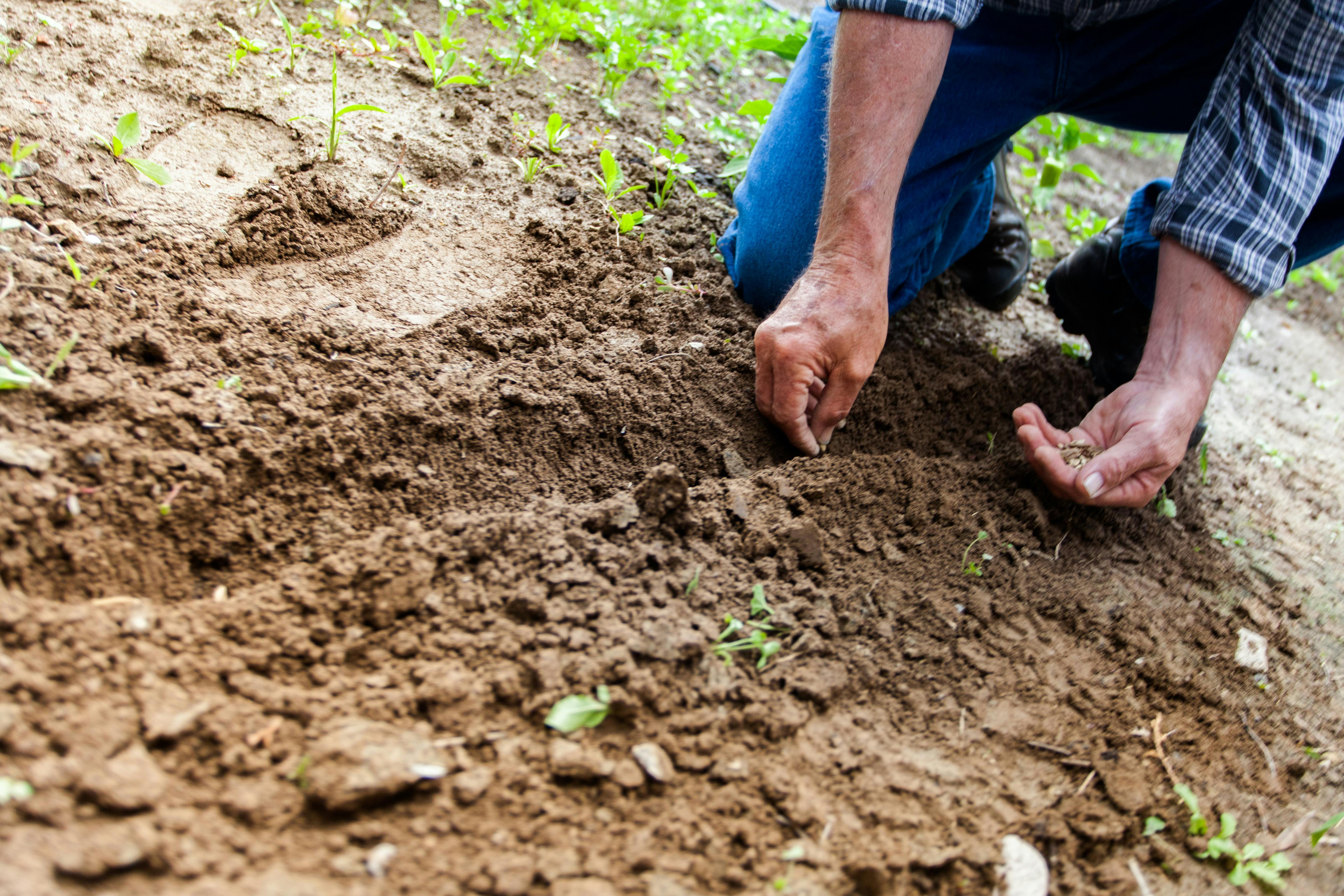 PUBLIEXPE, EXPERTOS EN AGRO MERCHANDISING