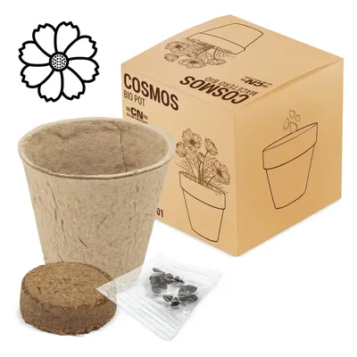 Producto personalizable Maceta Bio Cosmos "Ramillete"
