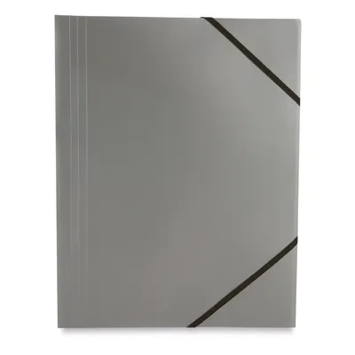 Producto personalizable Carpeta Silver Con Gomas "Chap"