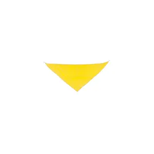 Variante de producto Pañoleta Triangular "Fermín"