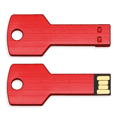 Producto personalizable Usb Llave Z-728 8Gb "Beta"