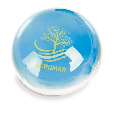 Producto personalizable Pisapapeles Cristal Lupa "Evan"