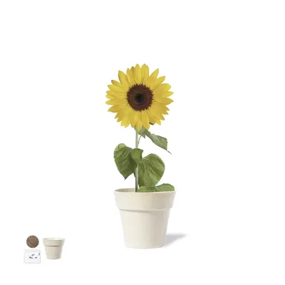 Producto personalizable Maceta Tumil