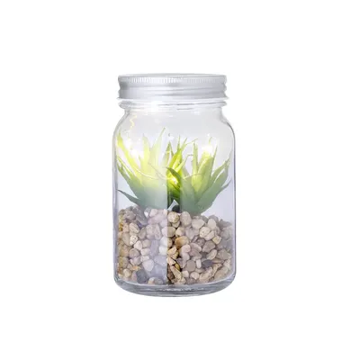 Producto personalizable Planta Decorativa Kyala