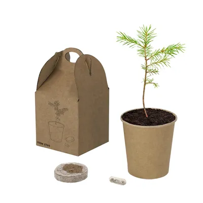 Producto personalizable Maceta Vencor