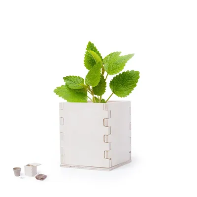 Producto personalizable Maceta Merin