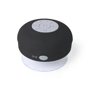 Variante de producto Altavoz Rariax