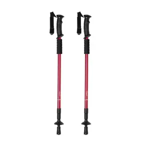 Variante de producto Set Bastones Brulen