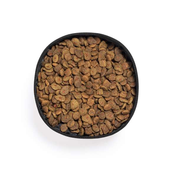 Bowl plegable para mascotas de 1,3l de capacidad, con exterior en resistente papel reciclado laminado de 270g/m2. Interior en poliéster RPET, elaborado a partir de plástico reciclado, para así fomentar la reutilización de residuos plásticos y ayudar a la sostenibilidad del planeta. Apto para sólidos y líquidos.