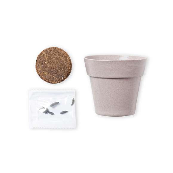 Maceta de línea nature con semillas de girasol. Macetero biodegradable, con 5-8 semillas y pastilla con sustrato de crecimiento. Presentación en caja individual kraft.