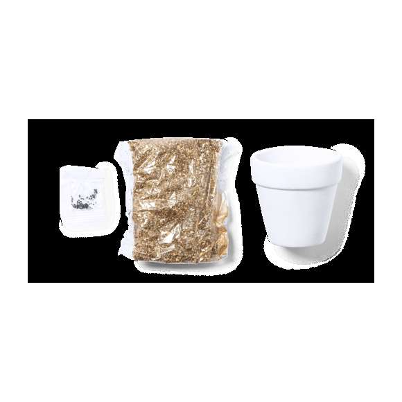 Maceta de línea nature con semillas de cactus. Macetero en terracota blanca y bolsita de sustrato de crecimiento. Presentación en caja individual kraft.