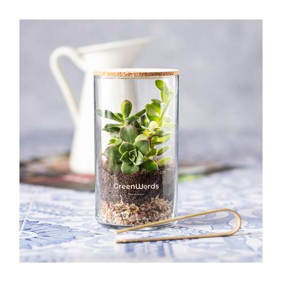 Terrario con semillas de cactus. En perfecta combinación entre diseño y ecología, este jardín interior contiene todo lo necesario para cultivar de forma vertical. Fabricado en cristal de borosilicato, que ofrece una resistencia, estética y durabilidad excepcionales. Con tapa de corcho natural para fácil marcaje y sustrato. Instrucciones de plantado y pinzas de bambú incluidas, con distintivo Made In Europe.