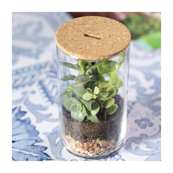 Terrario con semillas de cactus. En perfecta combinación entre diseño y ecología, este jardín interior contiene todo lo necesario para cultivar de forma vertical. Fabricado en cristal de borosilicato, que ofrece una resistencia, estética y durabilidad excepcionales. Con tapa de corcho natural para fácil marcaje y sustrato. Instrucciones de plantado y pinzas de bambú incluidas, con distintivo Made In Europe.