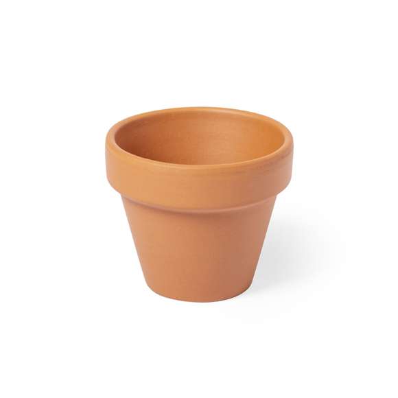  	Maceta con flores de petunia. Incluye macetero fabricado en resistente terracota con agujero de drenaje + 5-8 semillas de petunia, con bolsita de sustrato para un correcto crecimiento. Disponible manual de instrucciones en español e inglés.