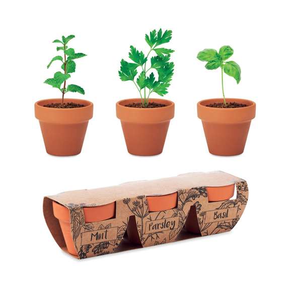 Juego de macetas de terracota