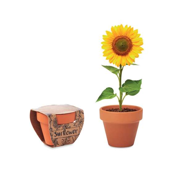 Juego de macetas de terracota