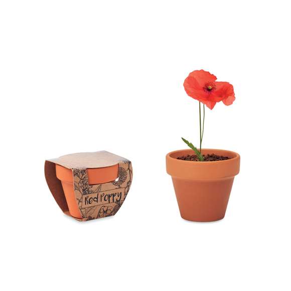 Juego de macetas de terracota