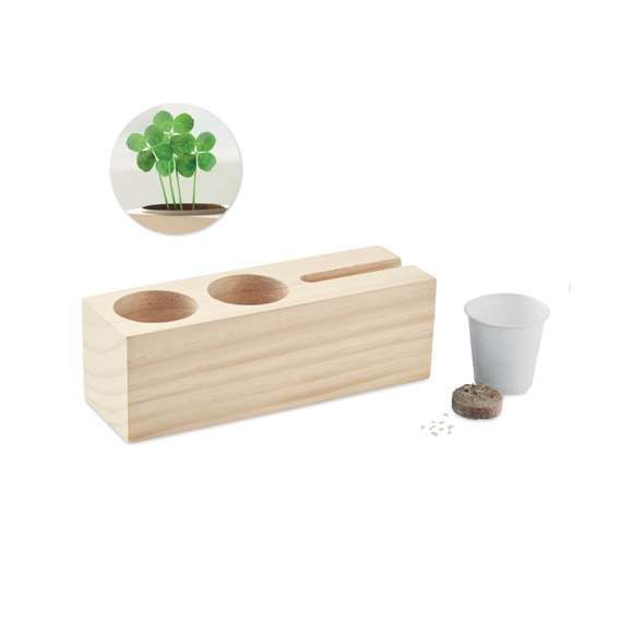 Set sobremesa kit de semillas