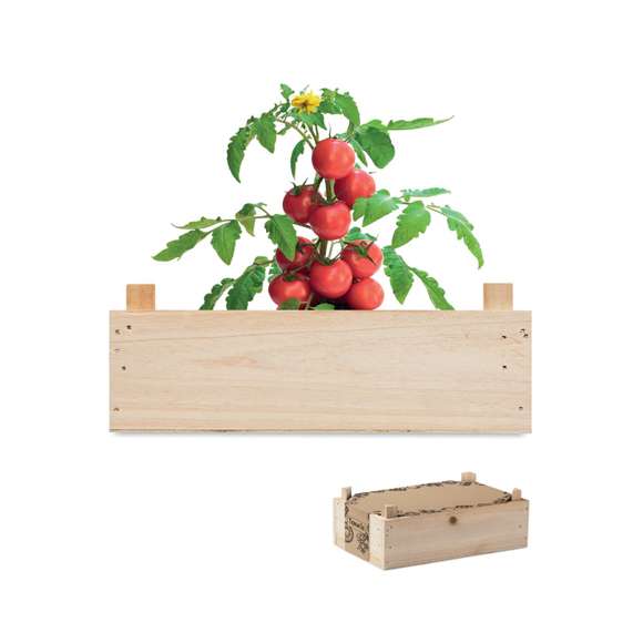 Mini-huerto tomates en caja