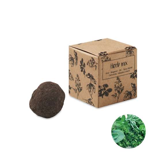 Kit de semillas de hierbas