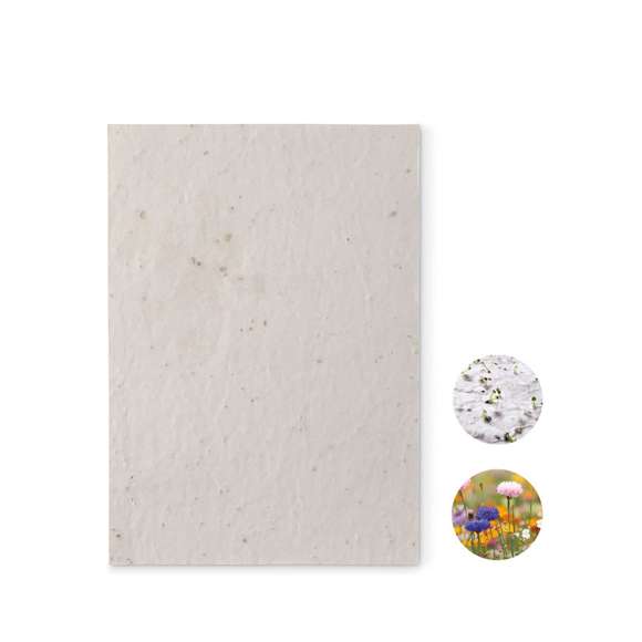 Hoja A5 de papel con semillas