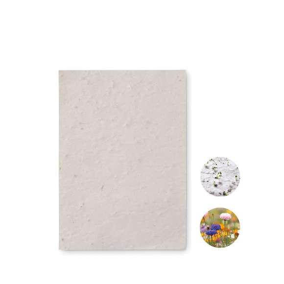 Hoja A6 de papel con semillas