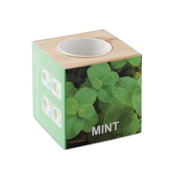 Maceta con semillas de menta