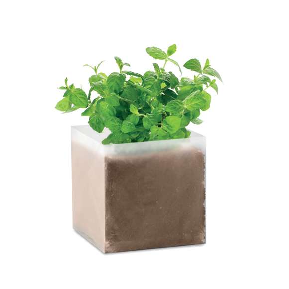 Bolsa semillas de menta