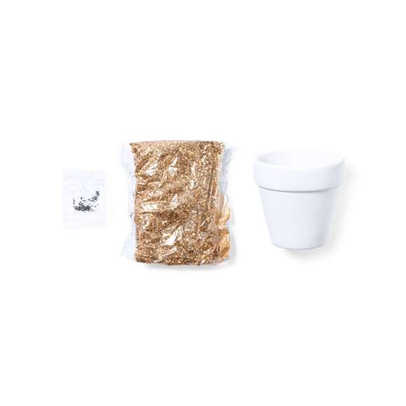 Maceta de línea nature con semillas de cactus. Macetero en terracota blanca y bolsita de sustrato de crecimiento. Presentación en caja individual kraft.