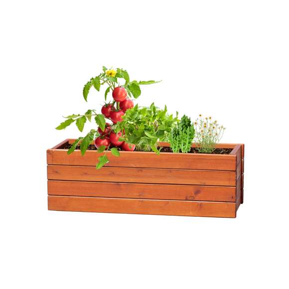 Kit huerto con semillas de tomate, albahaca, rúcula y manzanilla. Presentado en estuche de cartón reciclado con instruciones de plantado, distintivo Made in Europe y con 4 compartimentos independientes.