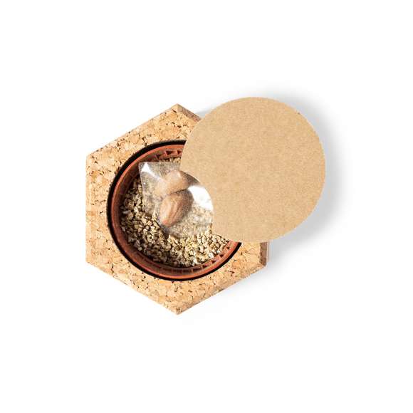 Maceta de línea nature con semillas de pino. Incluye sustrato, tiesto y viene presentada en un original recipiente de corcho natural. Incluye instrucciones de plantado y distintivo Made In Europe.
