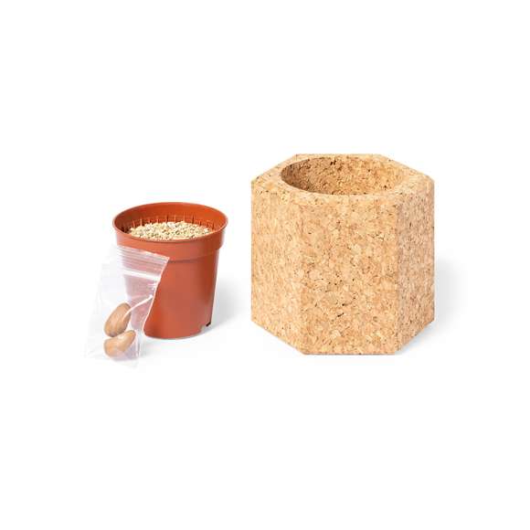 Maceta de línea nature con semillas de pino. Incluye sustrato, tiesto y viene presentada en un original recipiente de corcho natural. Incluye instrucciones de plantado y distintivo Made In Europe.