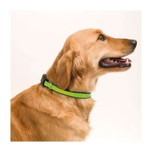 Collar reflectante para mascota en resistente y suave poliéster de vivos colores. Con cinta ajustable de cierre de clic y accesorio metálico para cinta de paseo.