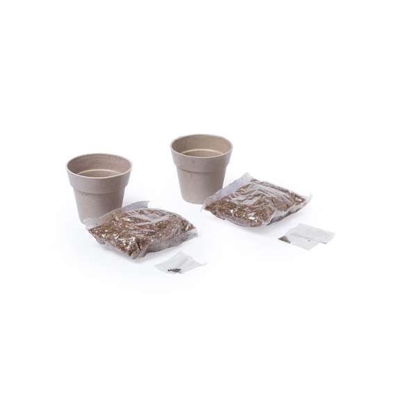 Set de 2 macetas con semillas de menta y perejil en macetero de línea nature. Con bolsita de sustrato de crecimiento.