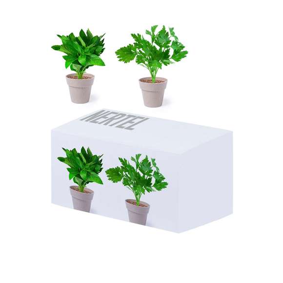 Set de 2 macetas con semillas de menta y perejil en macetero de línea nature. Con bolsita de sustrato de crecimiento.