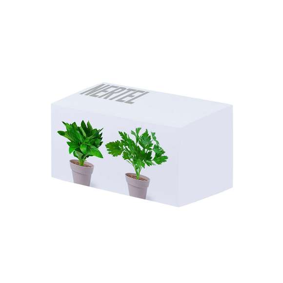 Set de 2 macetas con semillas de menta y perejil en macetero de línea nature. Con bolsita de sustrato de crecimiento.