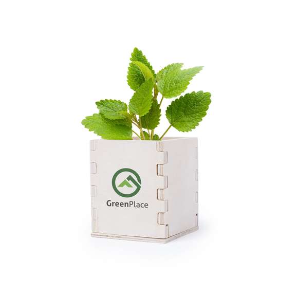 Imagen de Maceta Merin listo para personalizar con logo de empresa