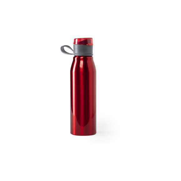 Bidón en alta calidad y de gran capacidad -700 ml-. En aluminio de acabado brillante, con tapón a juego, dosificador libre de BPA y asa de transporte. Disponible en variada gama de colores y presentado en atractiva caja de diseño. Disponible manual de instrucciones en español e inglés.