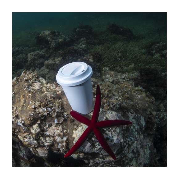 Vaso de linea nature, fabricado en PLA 100% compostable. 450ml de capacidad, de acabado sólido y con tapa dosificador de seguridad en mismo material, libre de BPA.  Producto fabricado con material PLA, procedente de materias primas renovables, con importantes propiedades como la versatilidad y la resistencia, destacando entre todas ellas la de compostabilidad.