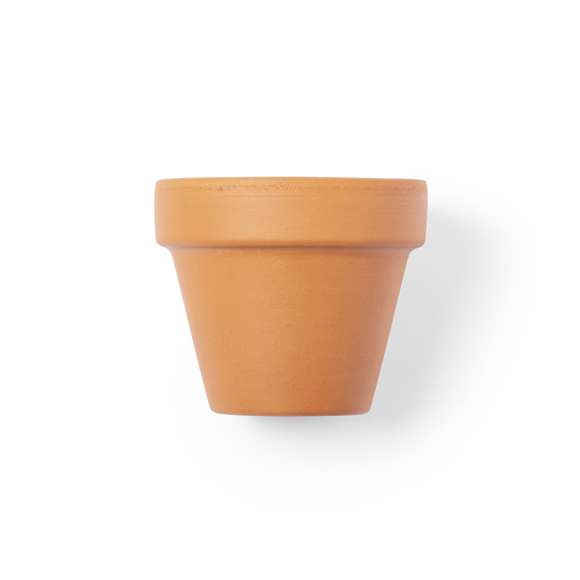 	Maceta con flores de petunia. Incluye macetero fabricado en resistente terracota con agujero de drenaje + 5-8 semillas de petunia, con bolsita de sustrato para un correcto crecimiento. Disponible manual de instrucciones en español e inglés.