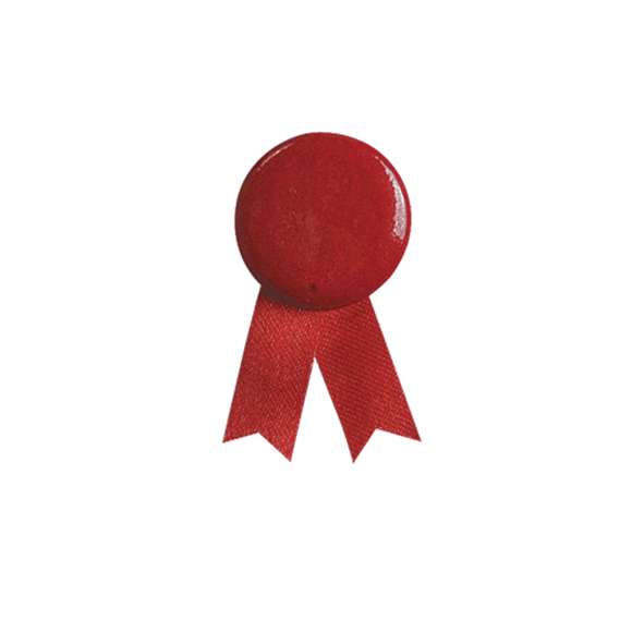 Pin lazo en variados colores con cuerpo de acabado brillante en variados colores.