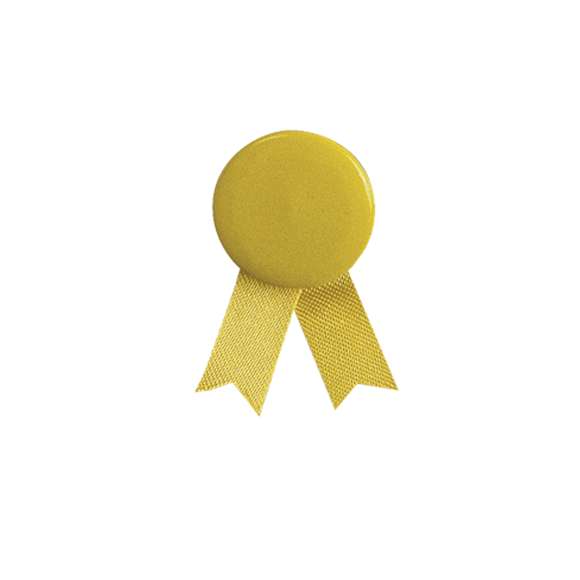Pin lazo en variados colores con cuerpo de acabado brillante en variados colores.