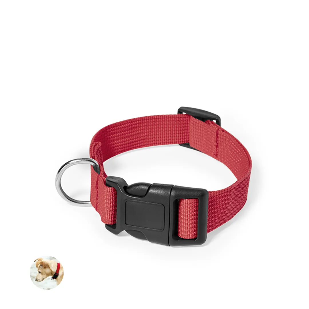 Producto personalizable Collar Mastif