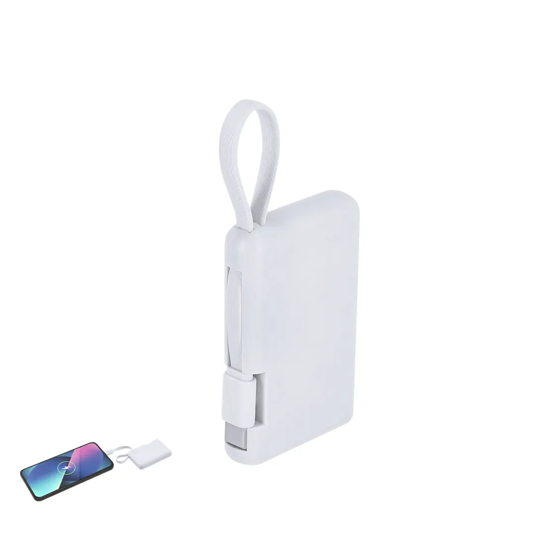 Producto personalizable Power Bank Brandin