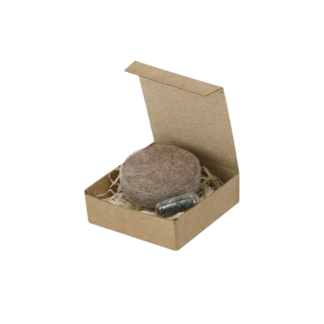 Producto personalizable Pack Plantable Aquael