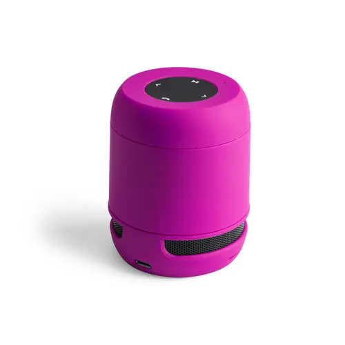 Variante de producto Altavoz Braiss
