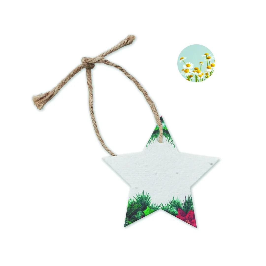 Producto personalizable STARSEED