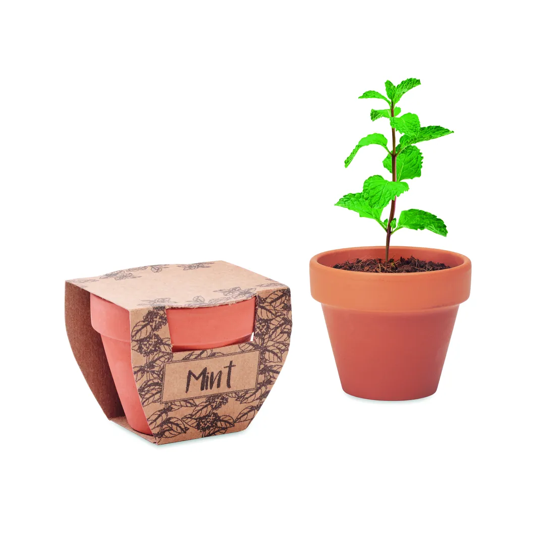 Producto personalizable MINT POT