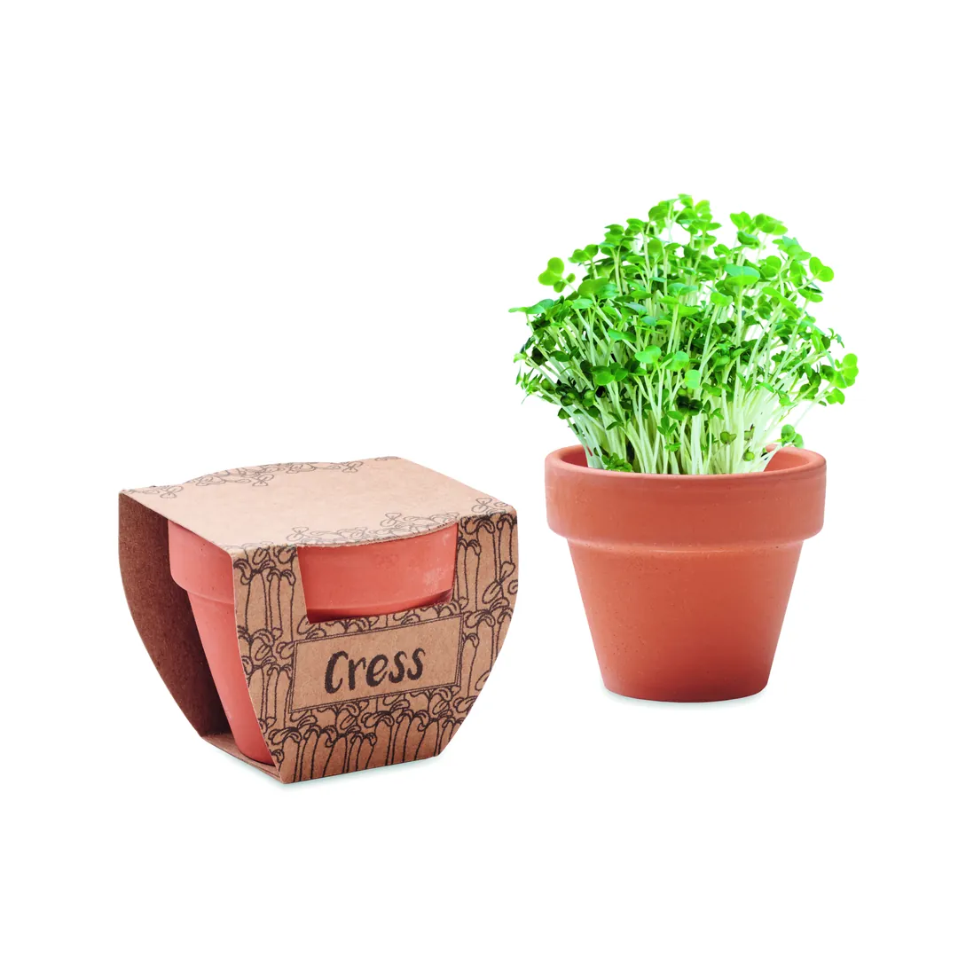 Producto personalizable CRESS POT